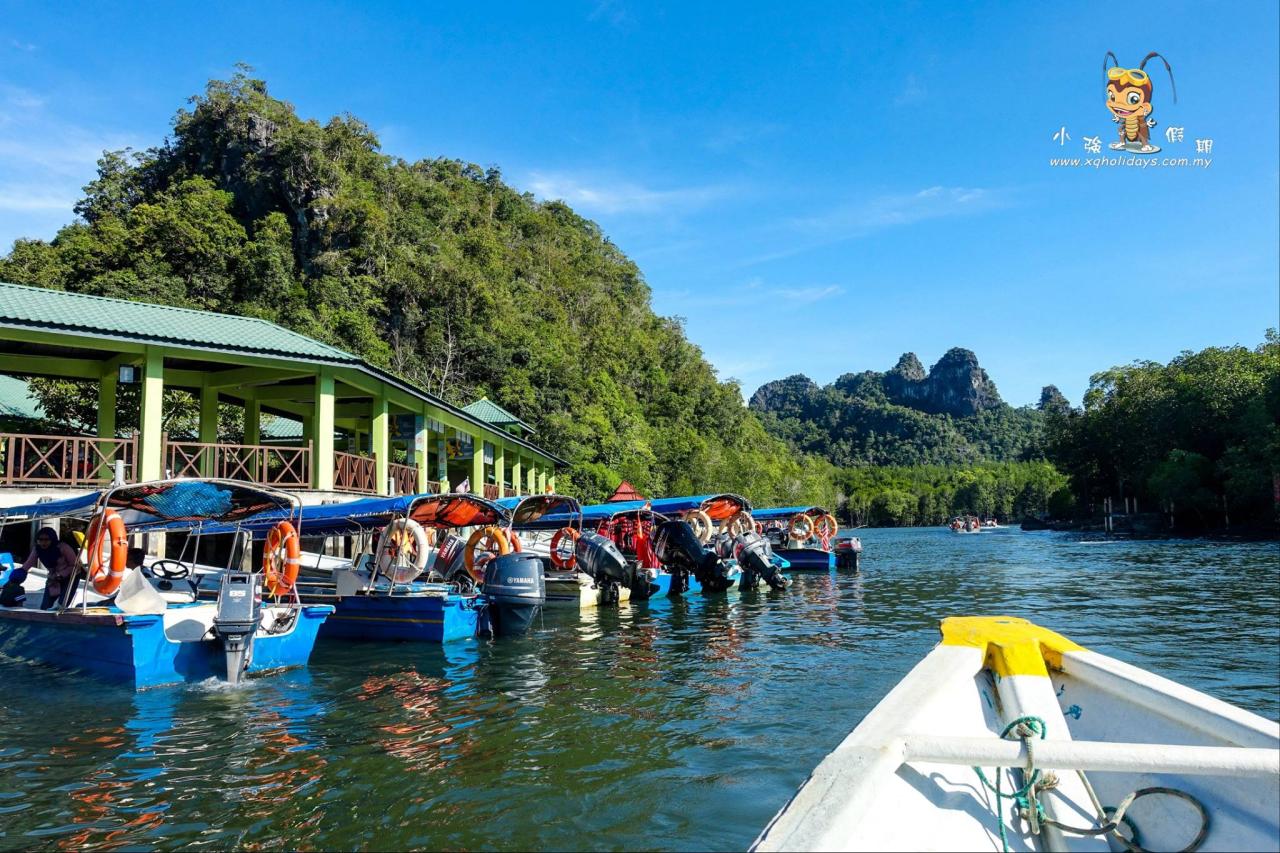 Jelajahi Ekosistem Unik Hutan Mangrove Langkawi